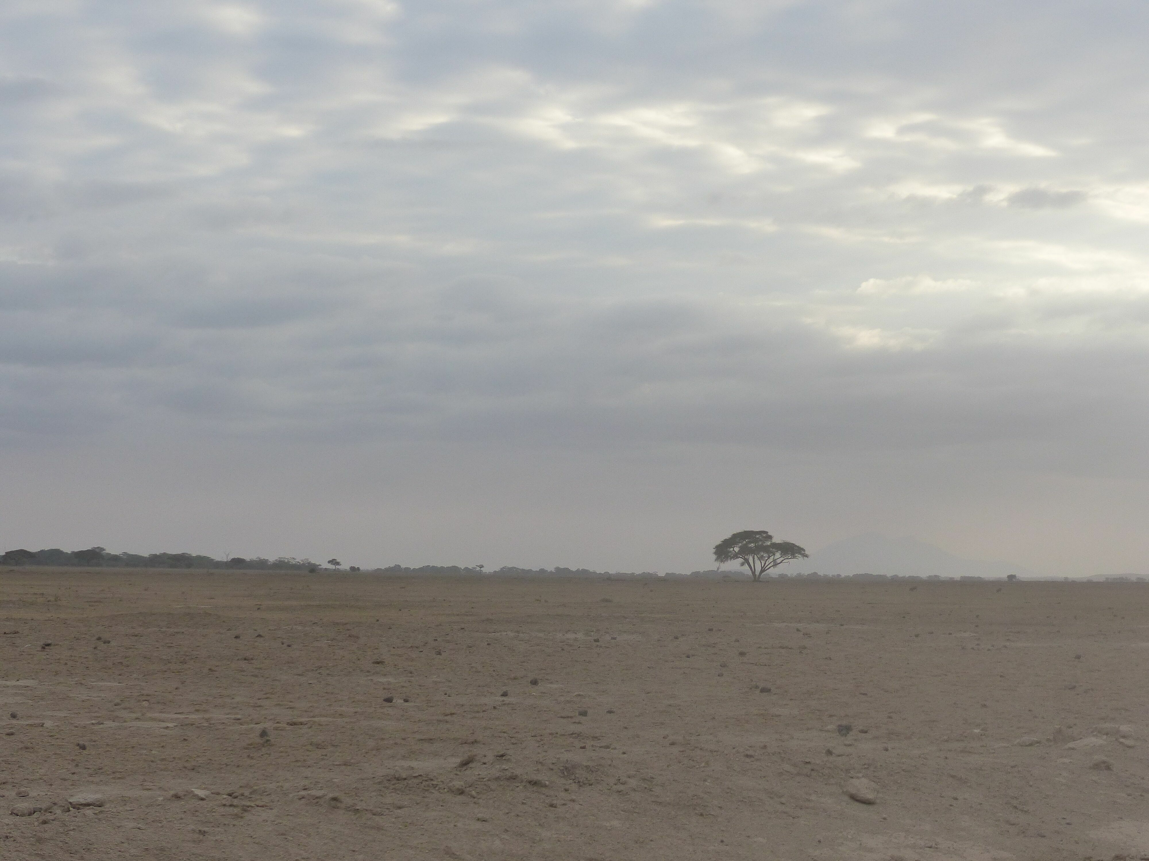 Kenia: Die schlimmste Dürre seit 40 Jahren