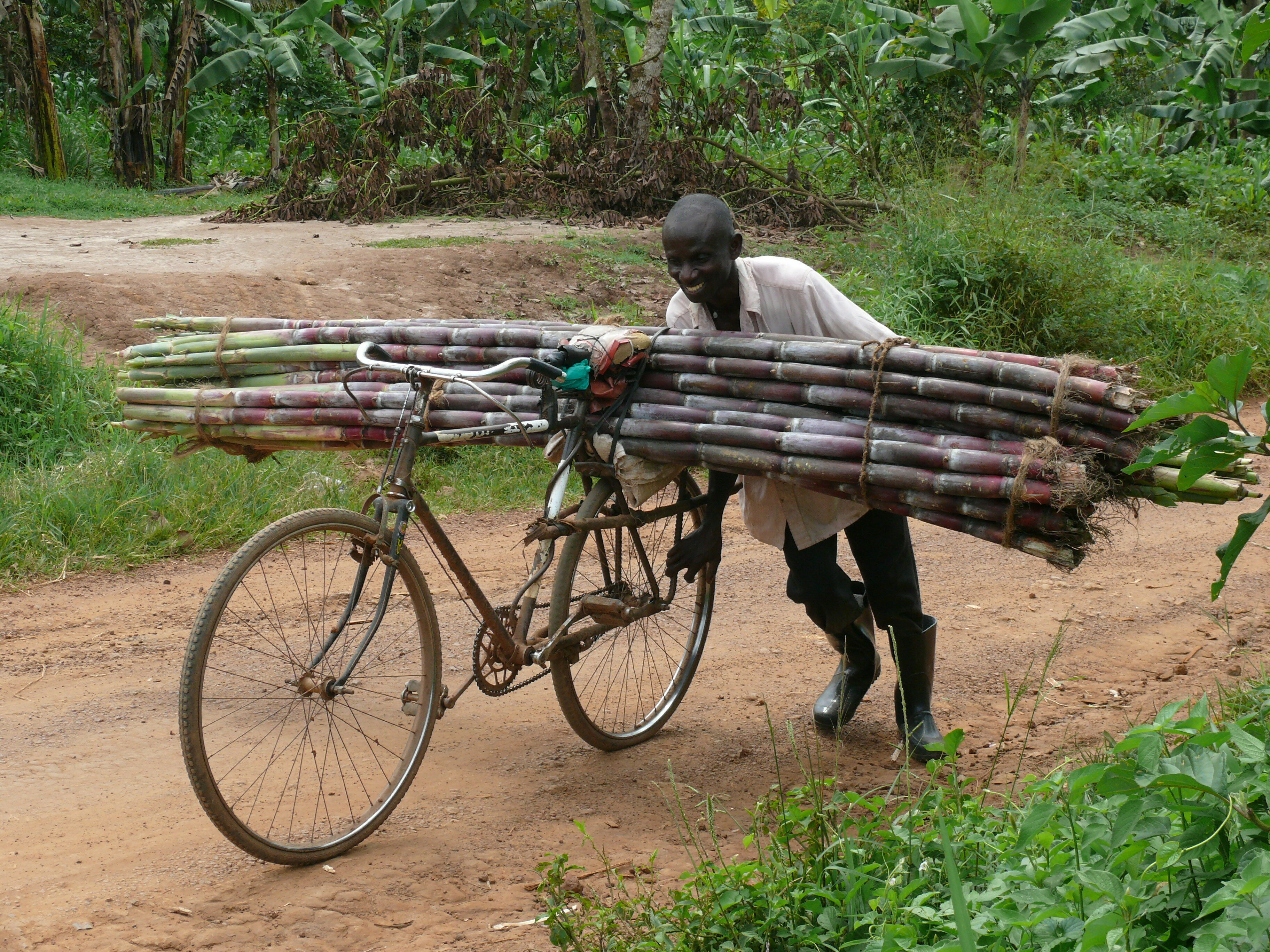 Uganda: Ein Pilotprojekt für Mobilität